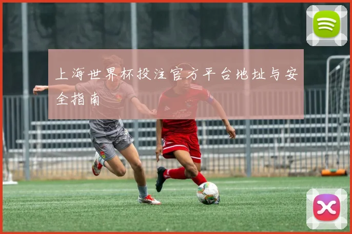 上海世界杯投注官方平台地址与安全指南