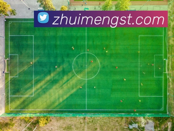 C罗伤退后埃德尔加时1比0制胜 葡萄牙欧洲杯首夺冠军引发全国庆祝